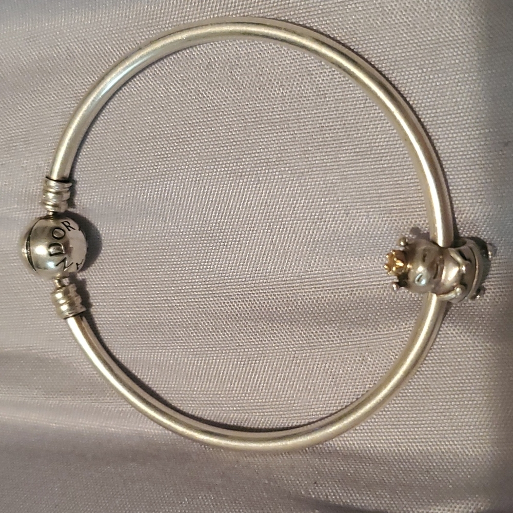 Pandora bangle with bee charm.